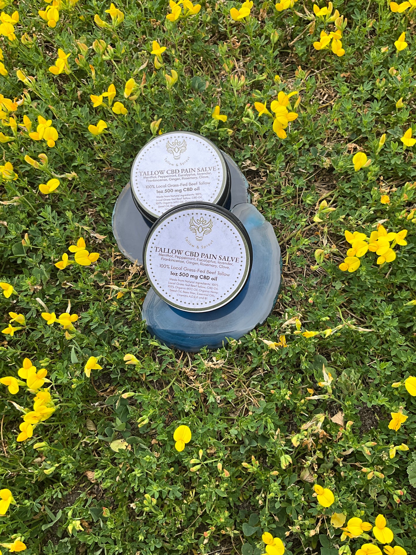 Tallow-CBD pain salve