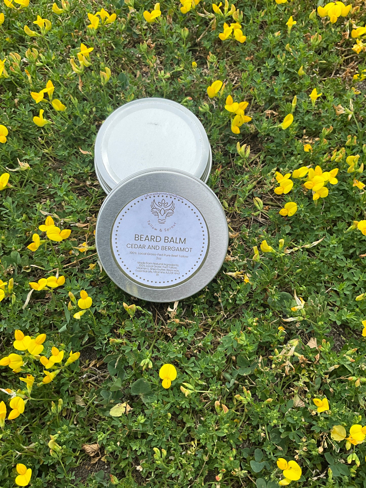 Cedar & Bergamot Beard Balm - Tallow & Sprout
