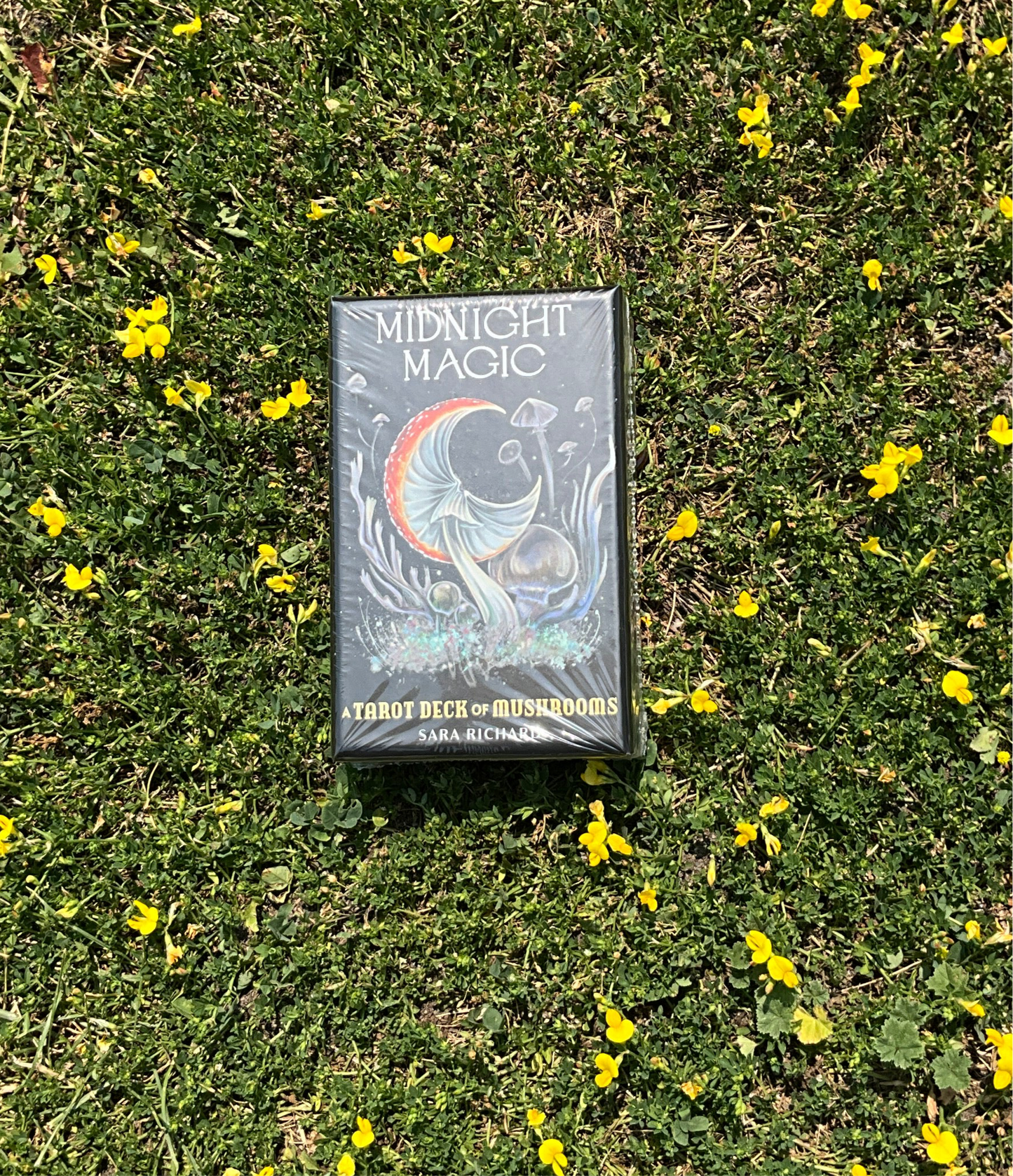 Midnight Magic - A Tarot Deck of Mushrooms