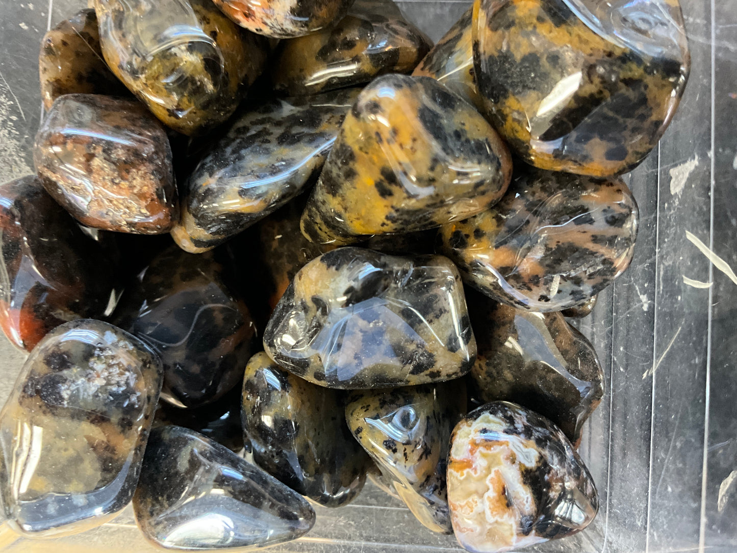 Cheetah Agate