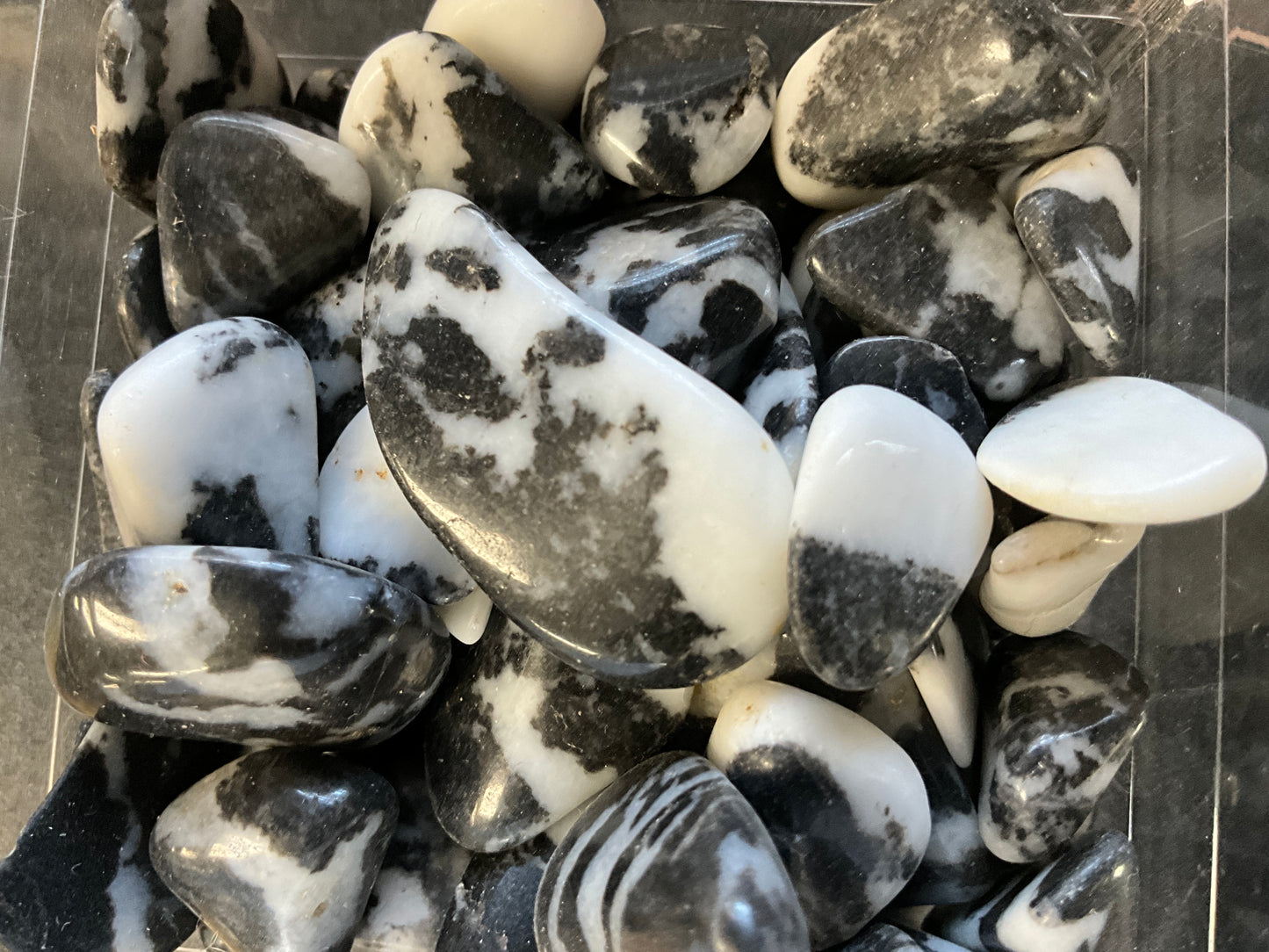 Zebra Jasper