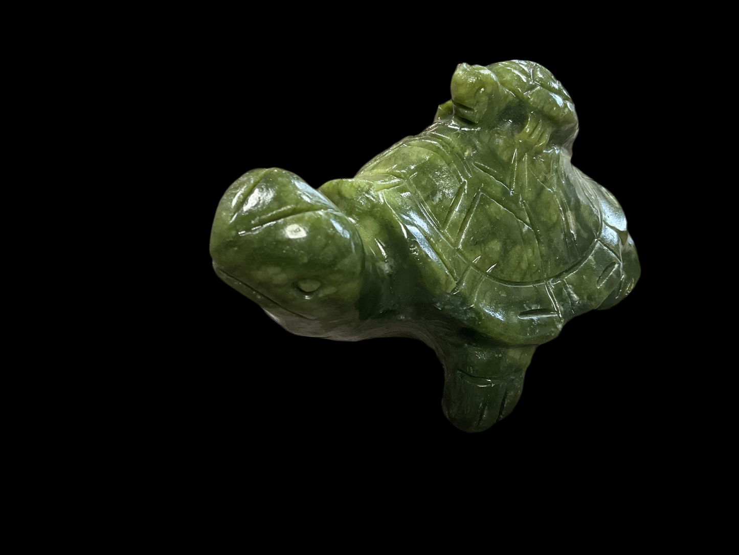 Serpentine Turtle with baby