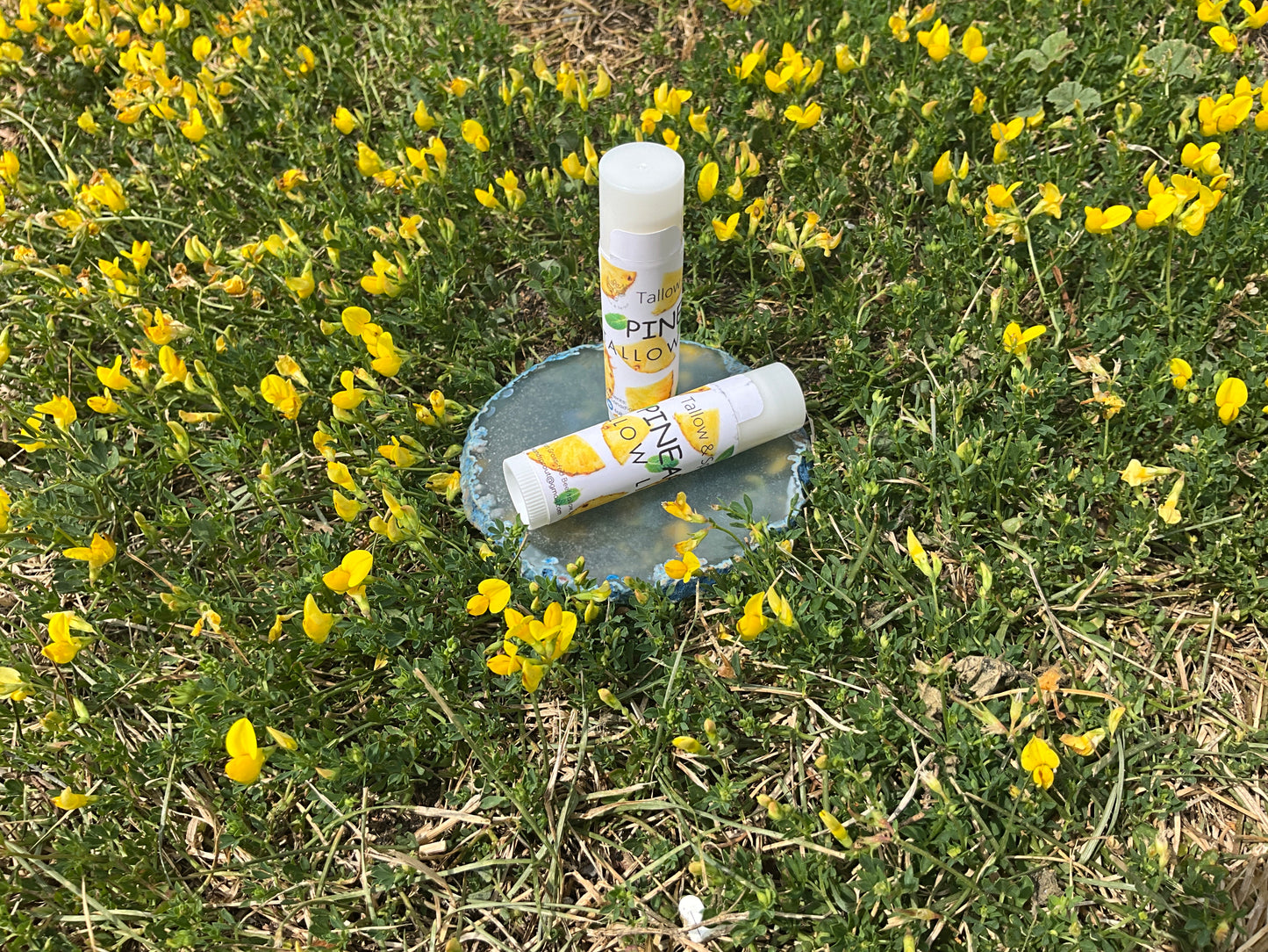Tallow- Lip Balm Pinapple