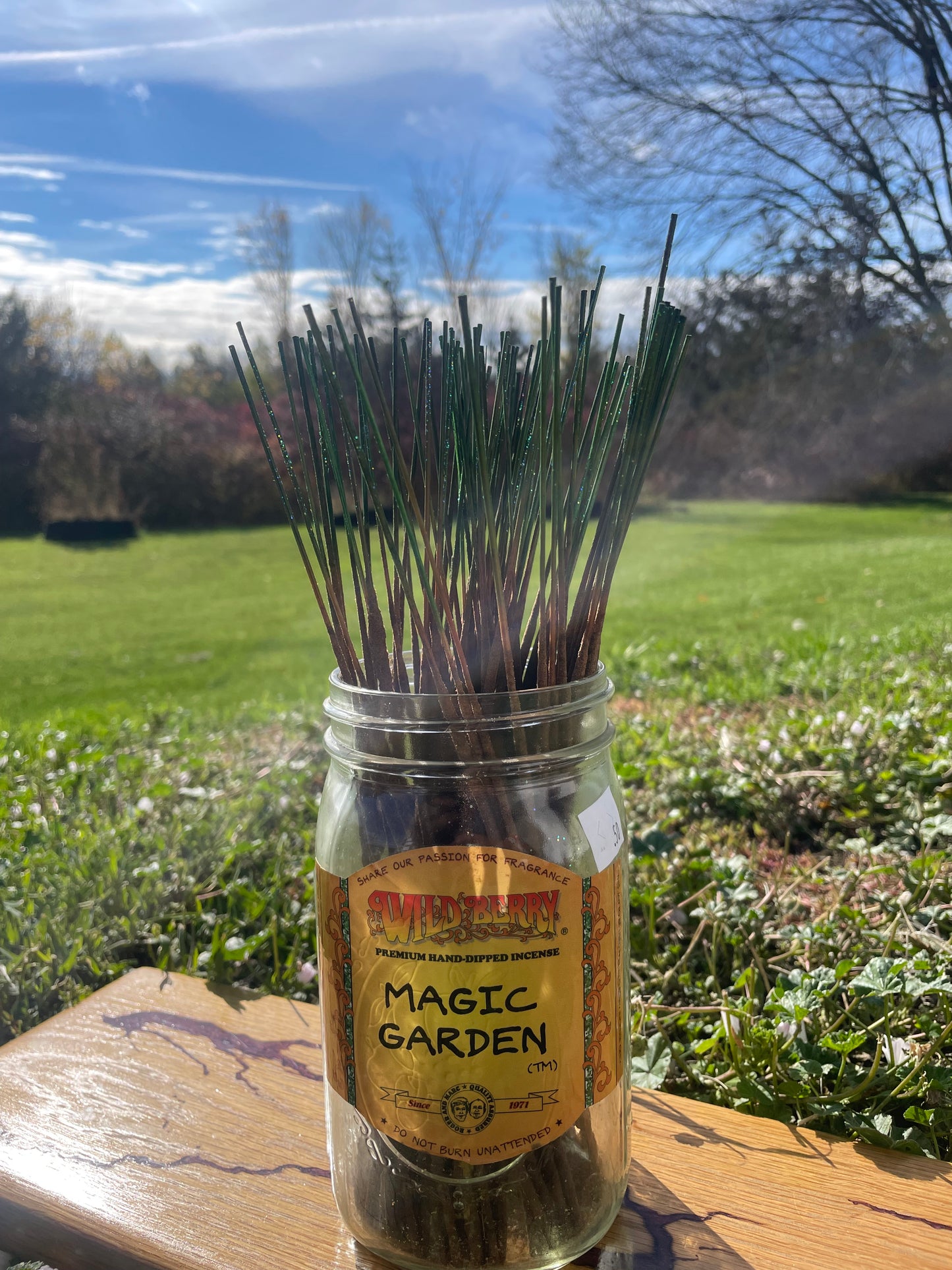 Individual Wild Berry Incense - Magic Garden