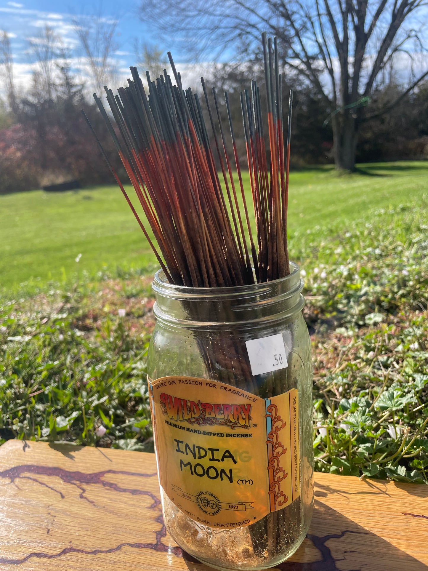 Individual Wild Berry Incense - India Moon