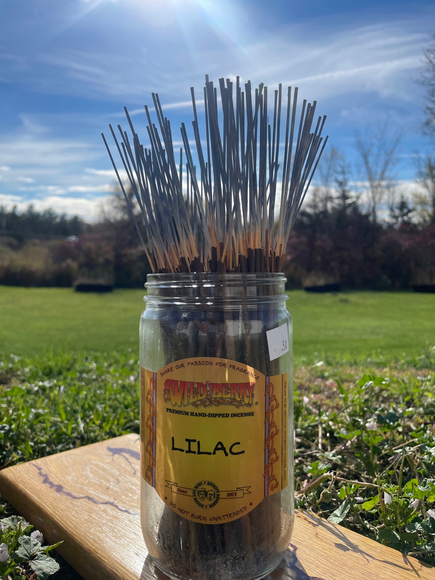 Individual Wild Berry Incense - Lilac