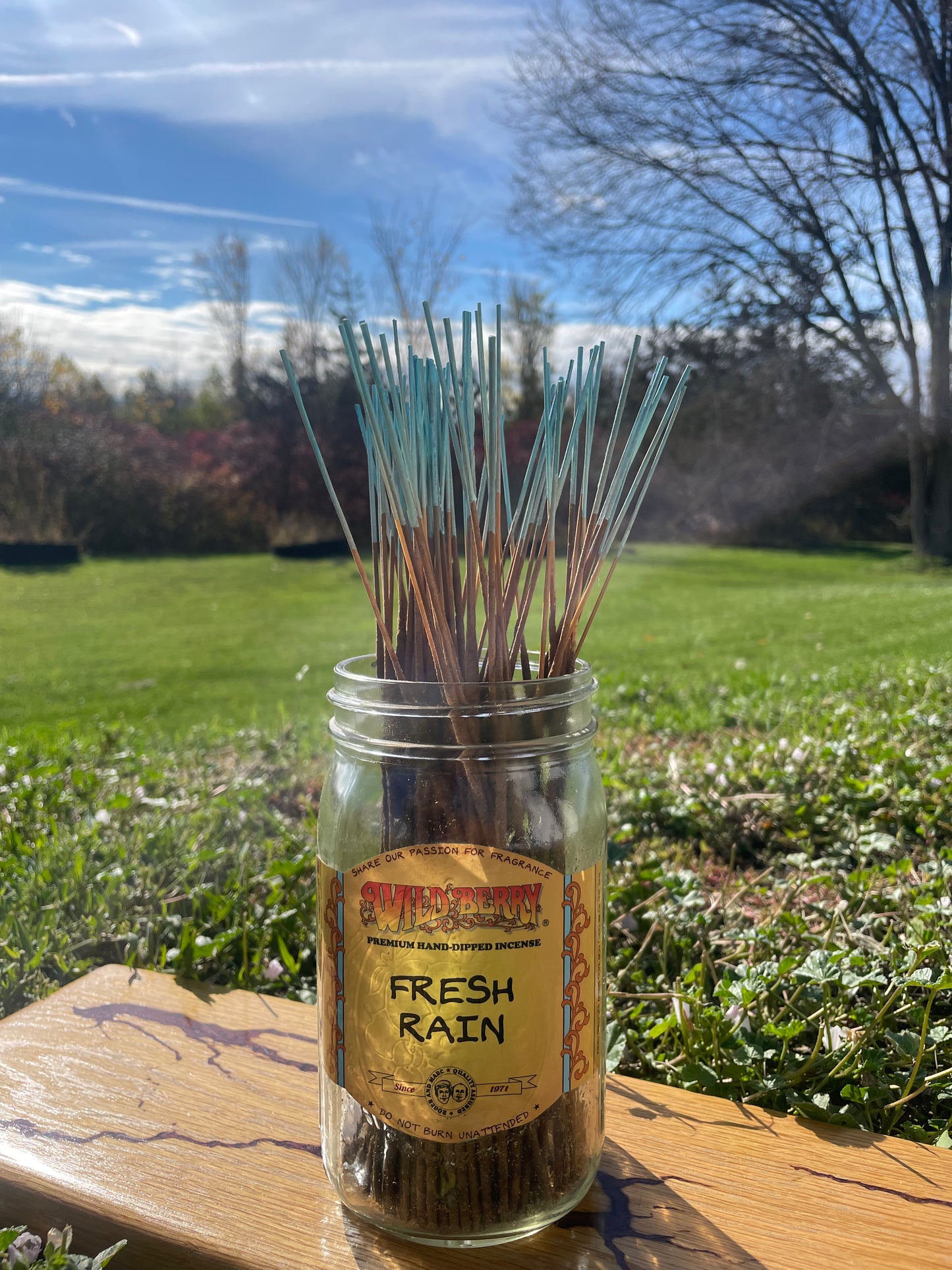 Individual Wild Berry Incense - Fresh Rain