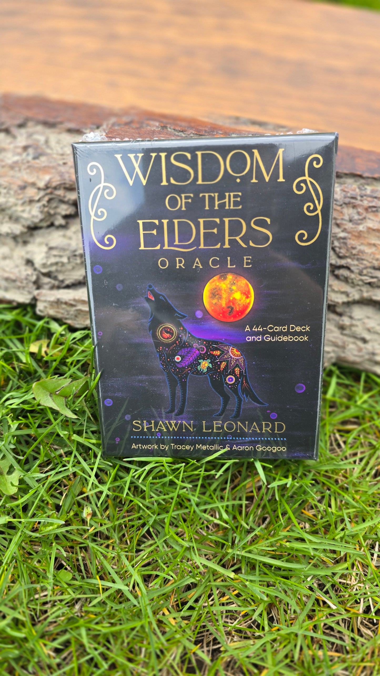 Wisdom of the Elders Oracle Cards by Shawn Leonard