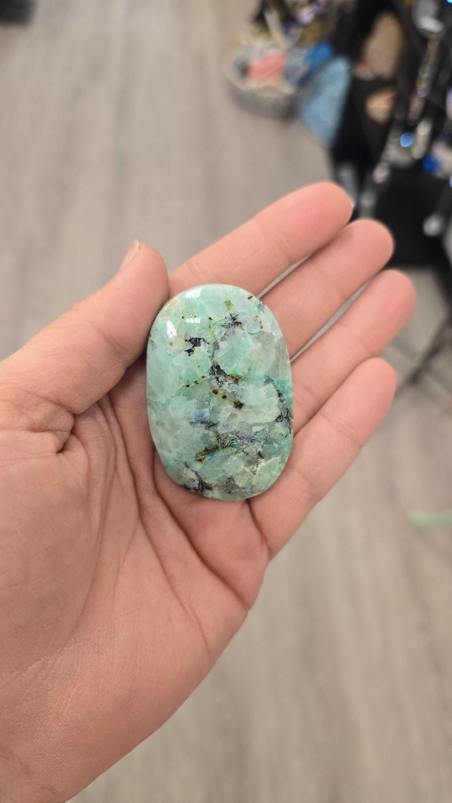 Phoenix Stone Palm Stone