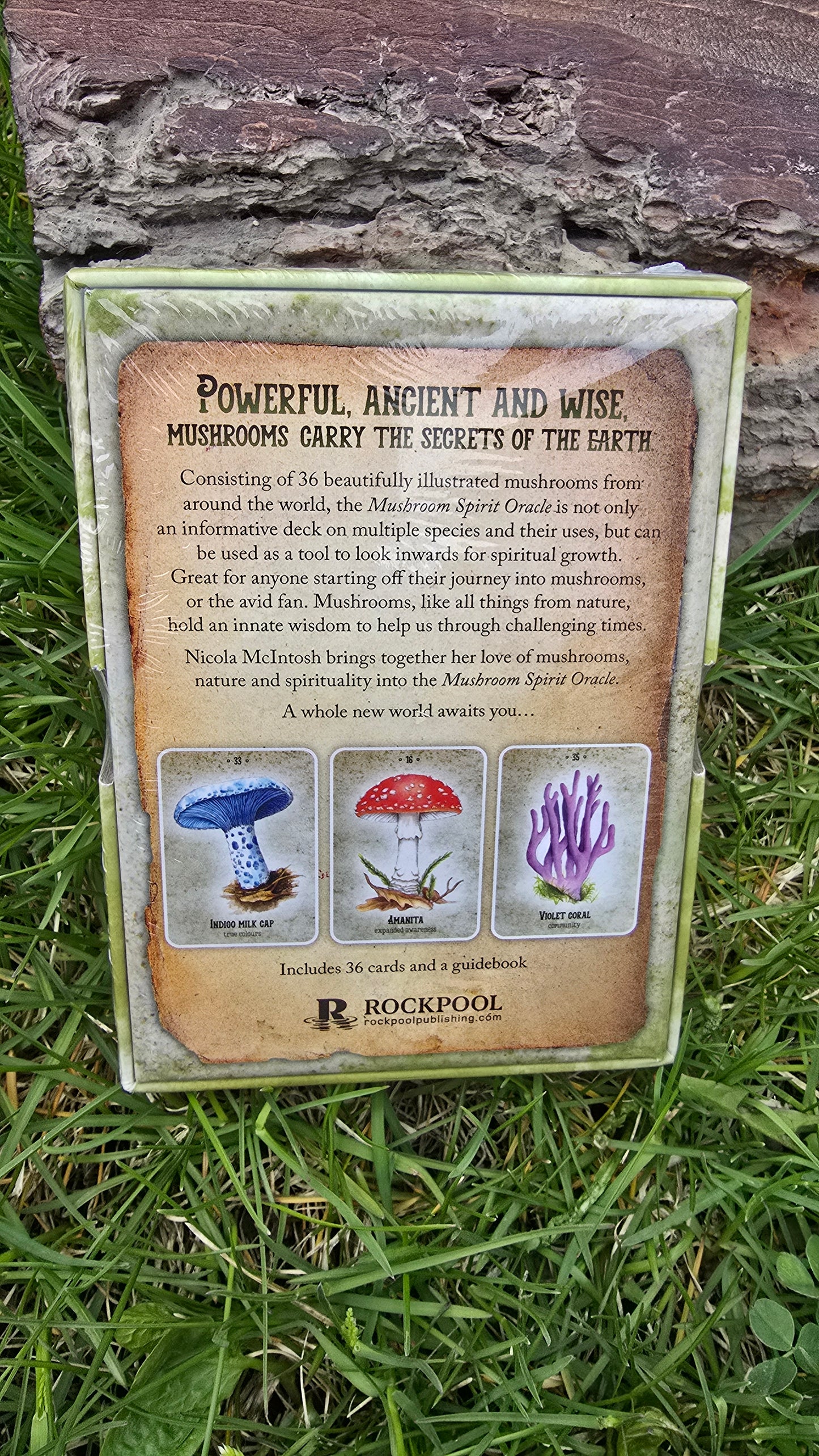 Mushroom Spirit Oracle Cards by Nicola McIntosh