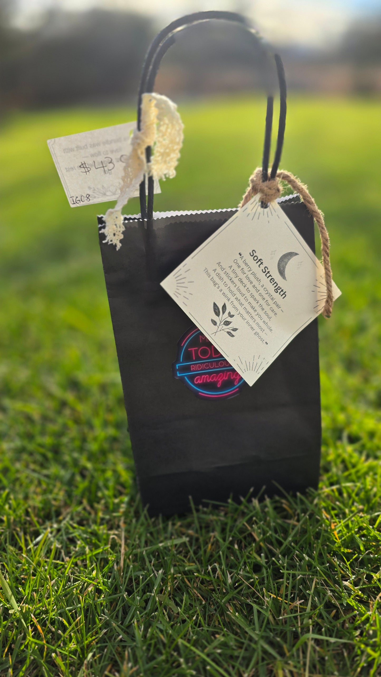 Intuitive Gifts Co.- Soft Strength Surprise Bag.