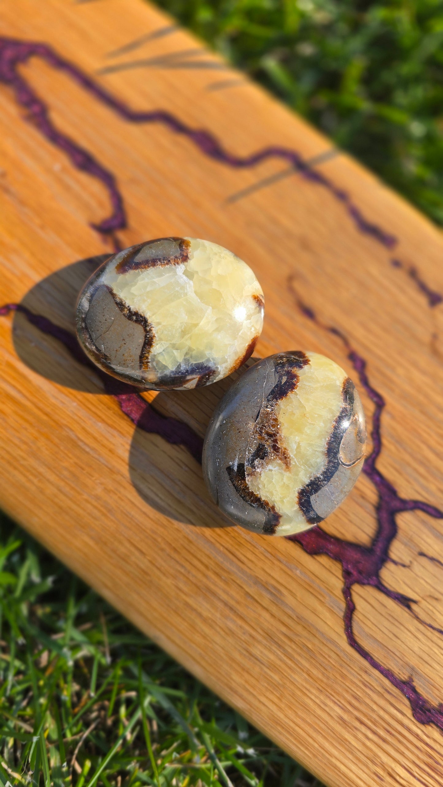 Septarian Dragon Palm Stone Smaller