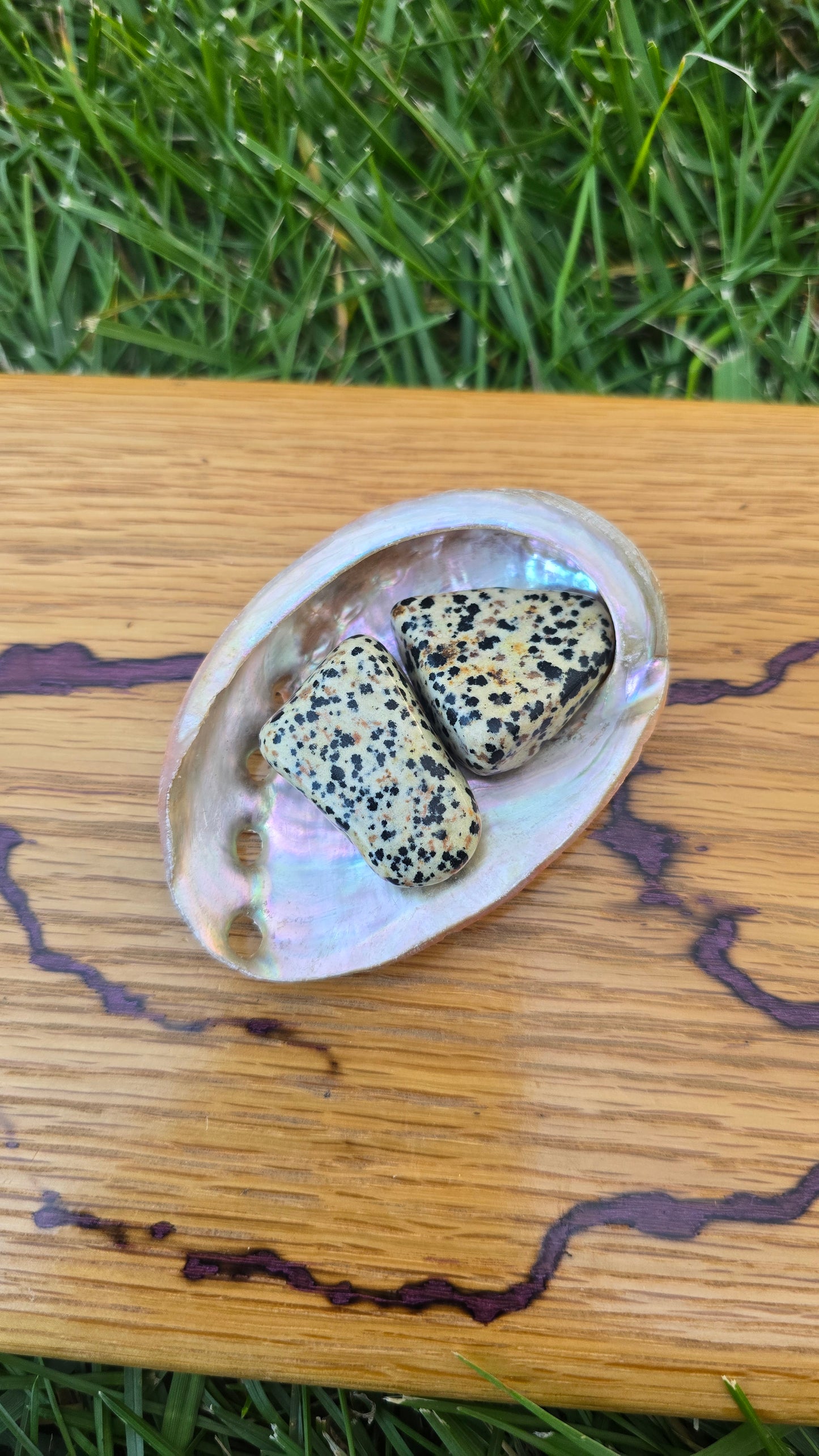 Dalmatian Jasper Tumbled Stone Large