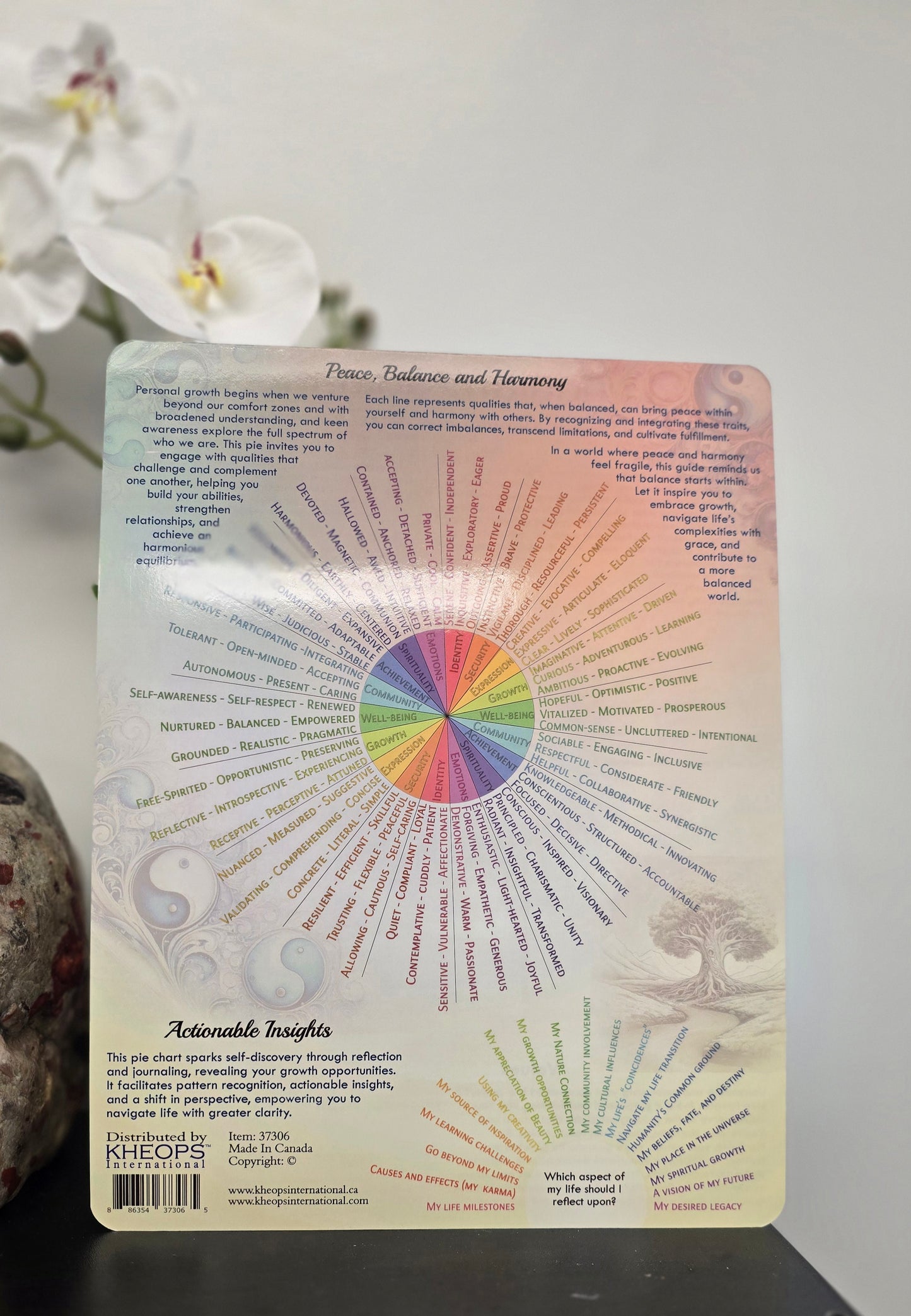 Laminated Chart Pendulum Guidance