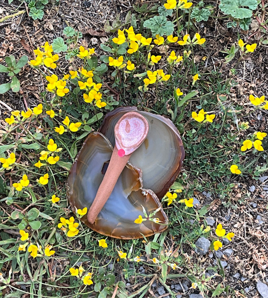 Tom & lotte Shop - Brown & Pink Spoon