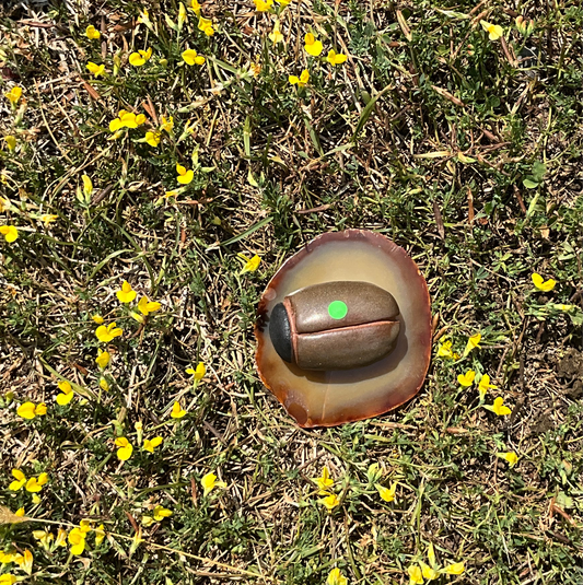 Tom & Lotte Shop Big Brown Ladybug