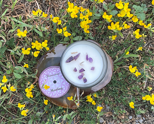 Harmonica Lavender Soy Wax Candle- Amethyst Healing