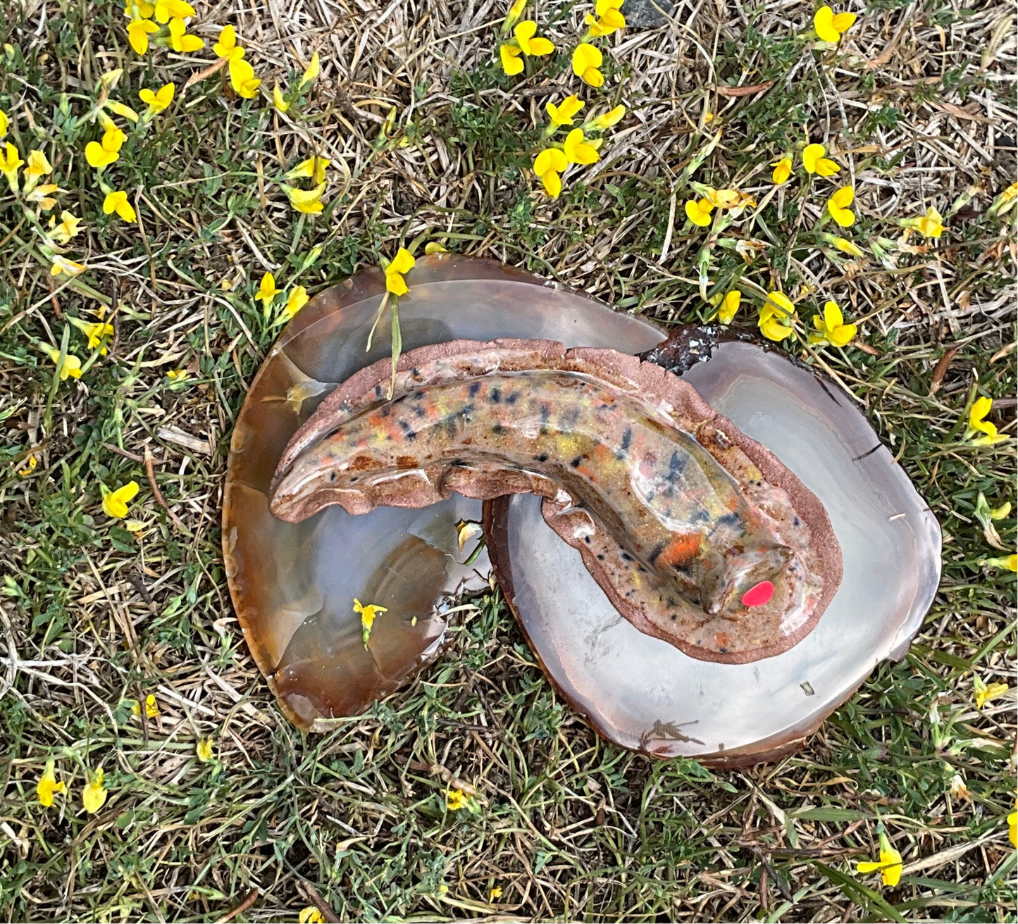 Tom & Lotte Shop -Large Multicoloured Slug