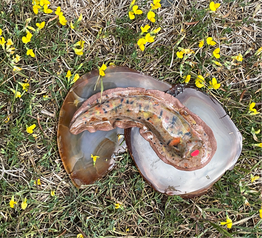 Tom & Lotte Shop -Large Multicoloured Slug