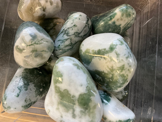 Tree Agate