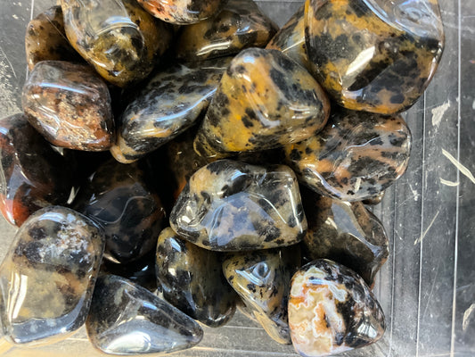 Cheetah Agate