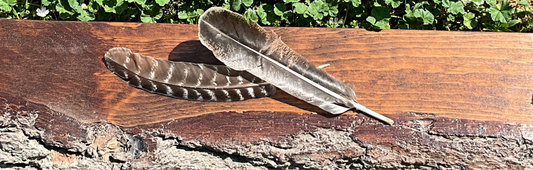 Feather