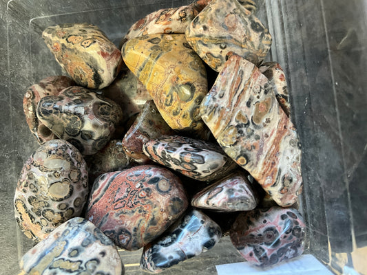 Leopardskin Jasper