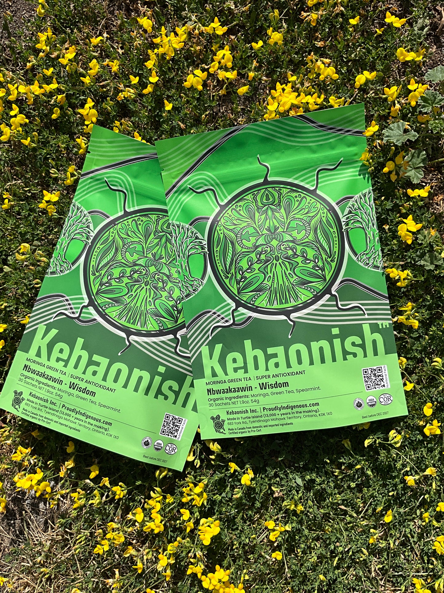 Kebaonish Tea - Wisdom