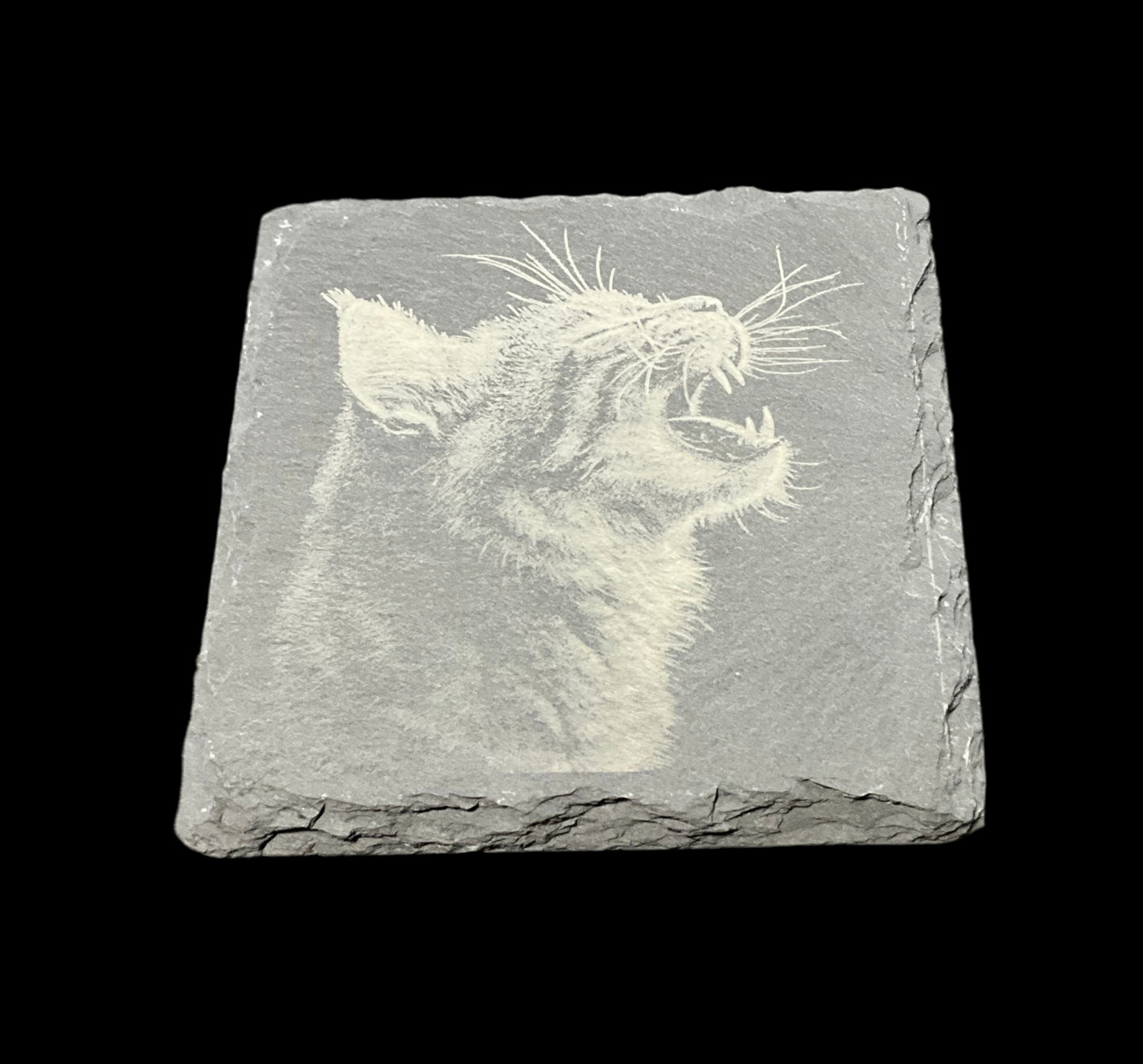 Feline Coaster - My Little Workbench