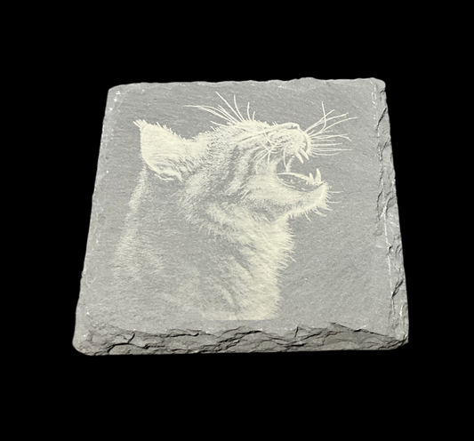 Feline Coaster - My Little Workbench