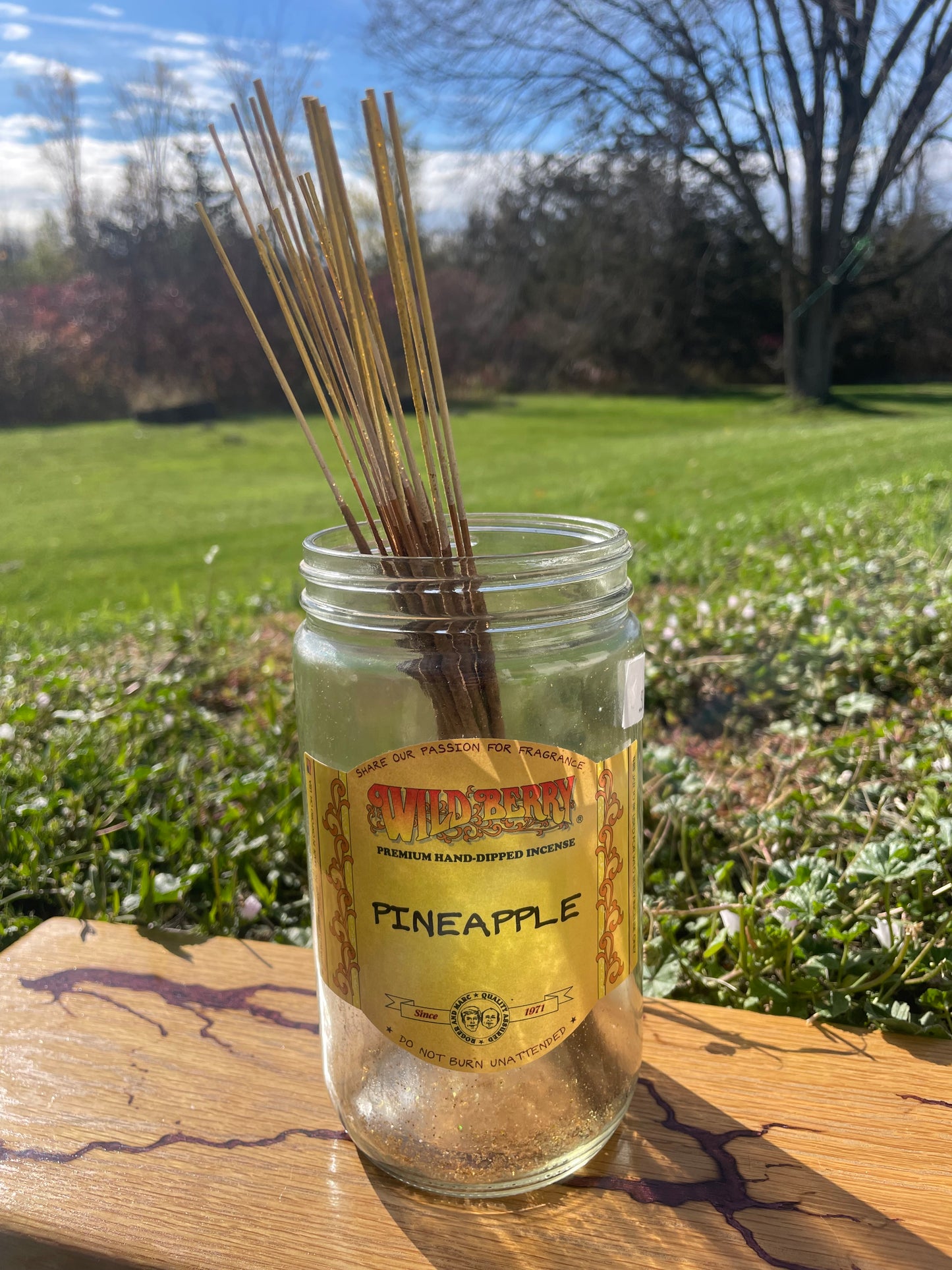Individual Wild Berry Incense - Pineapple