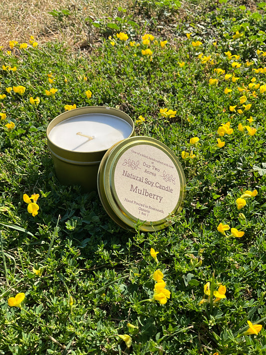 Natural Soy Candle - Mulberry