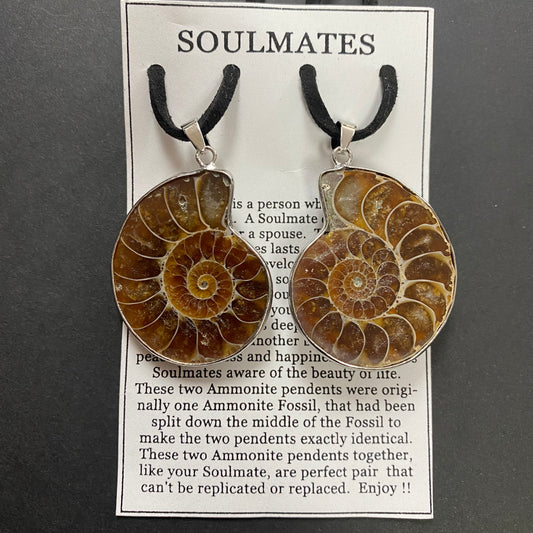 Ammonite Fossils Soulmates Necklaces