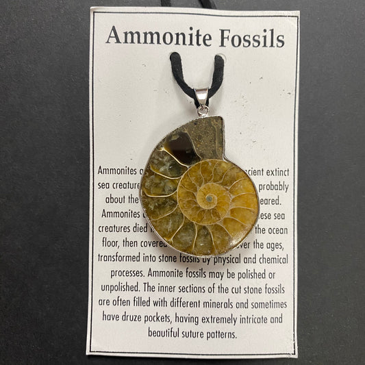 Ammonite Fossil Necklace