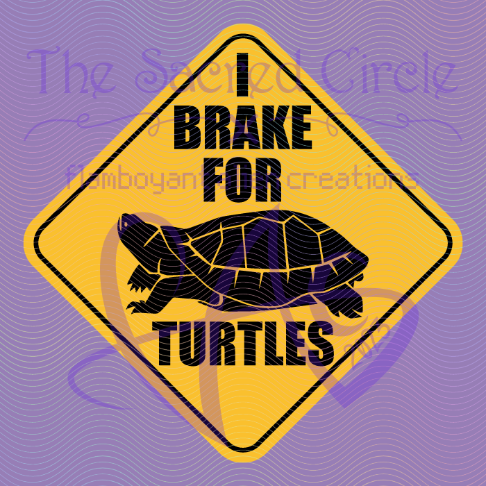 I Brake For Turtles Car Decal
