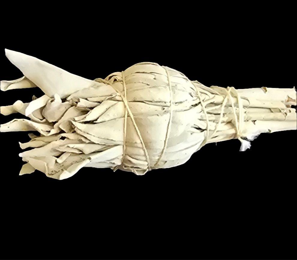 White Sage Bundle - Smallest Bundle