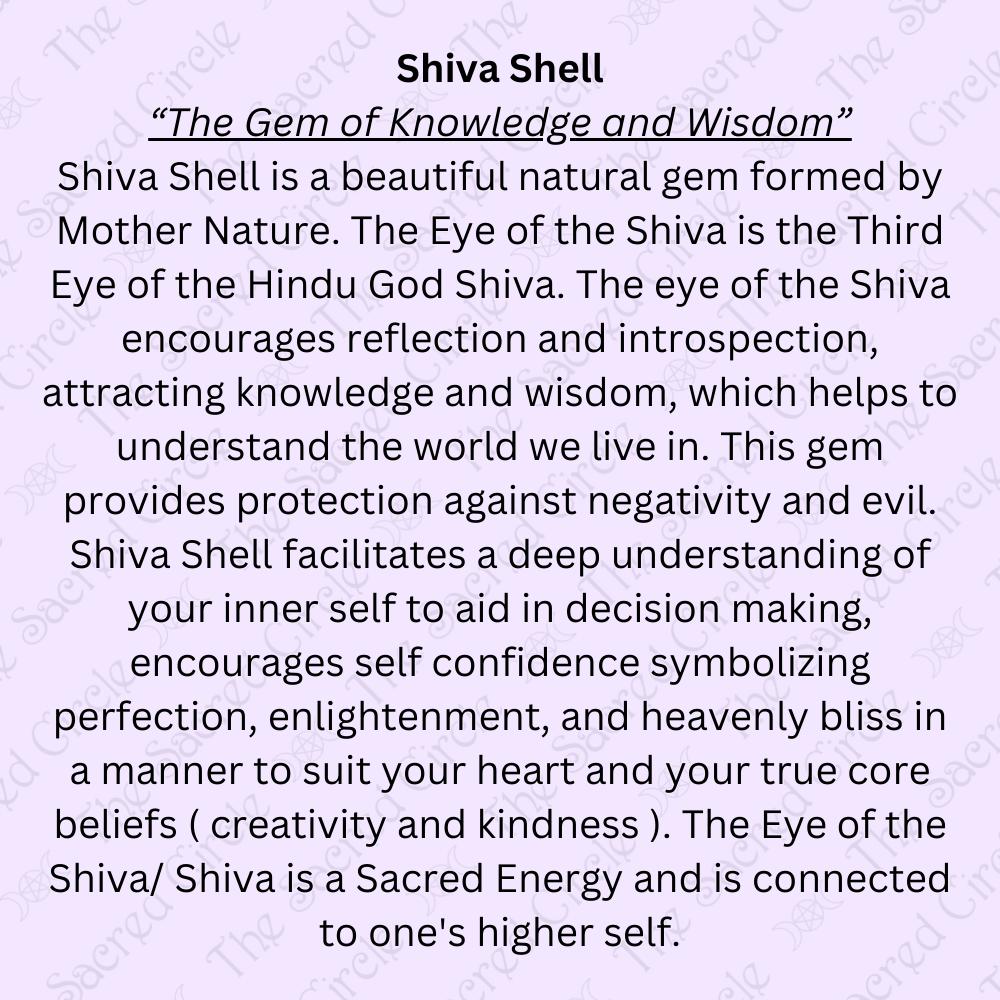 Shiva Shell Round Necklace