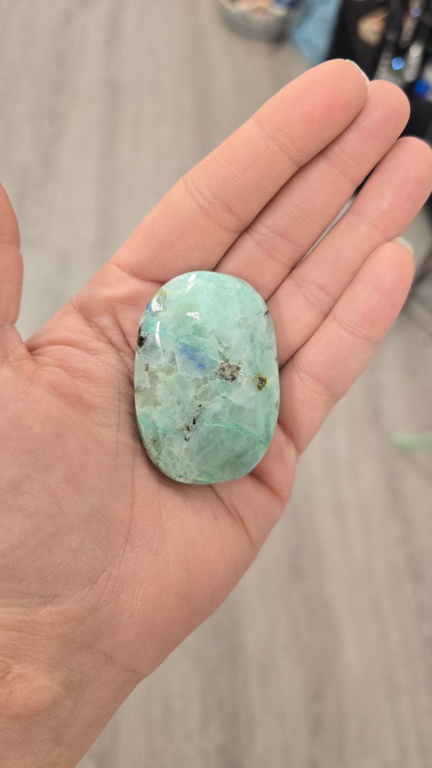 Phoenix Stone Palm Stone