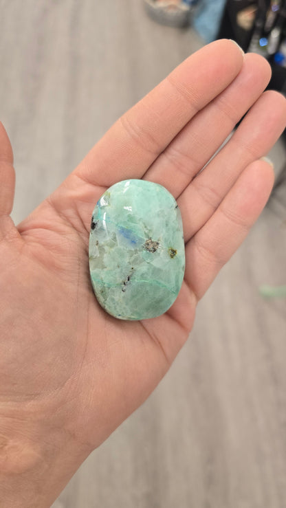 Phoenix Stone Palm Stone