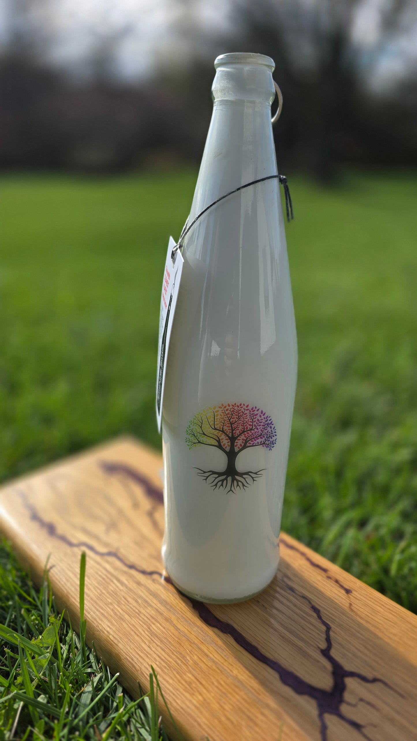 Glass Smoking Bottle Incense Burner