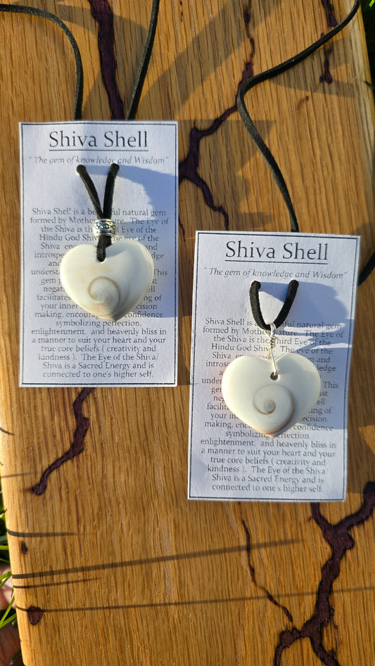 Heart shaped Shiva Shell Necklace