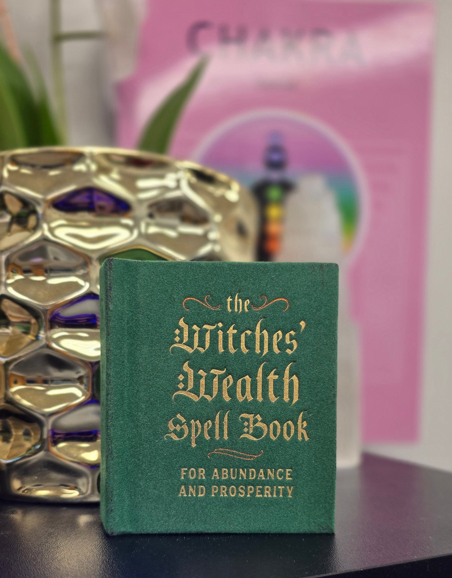 The Witches' Wealth Spell Book