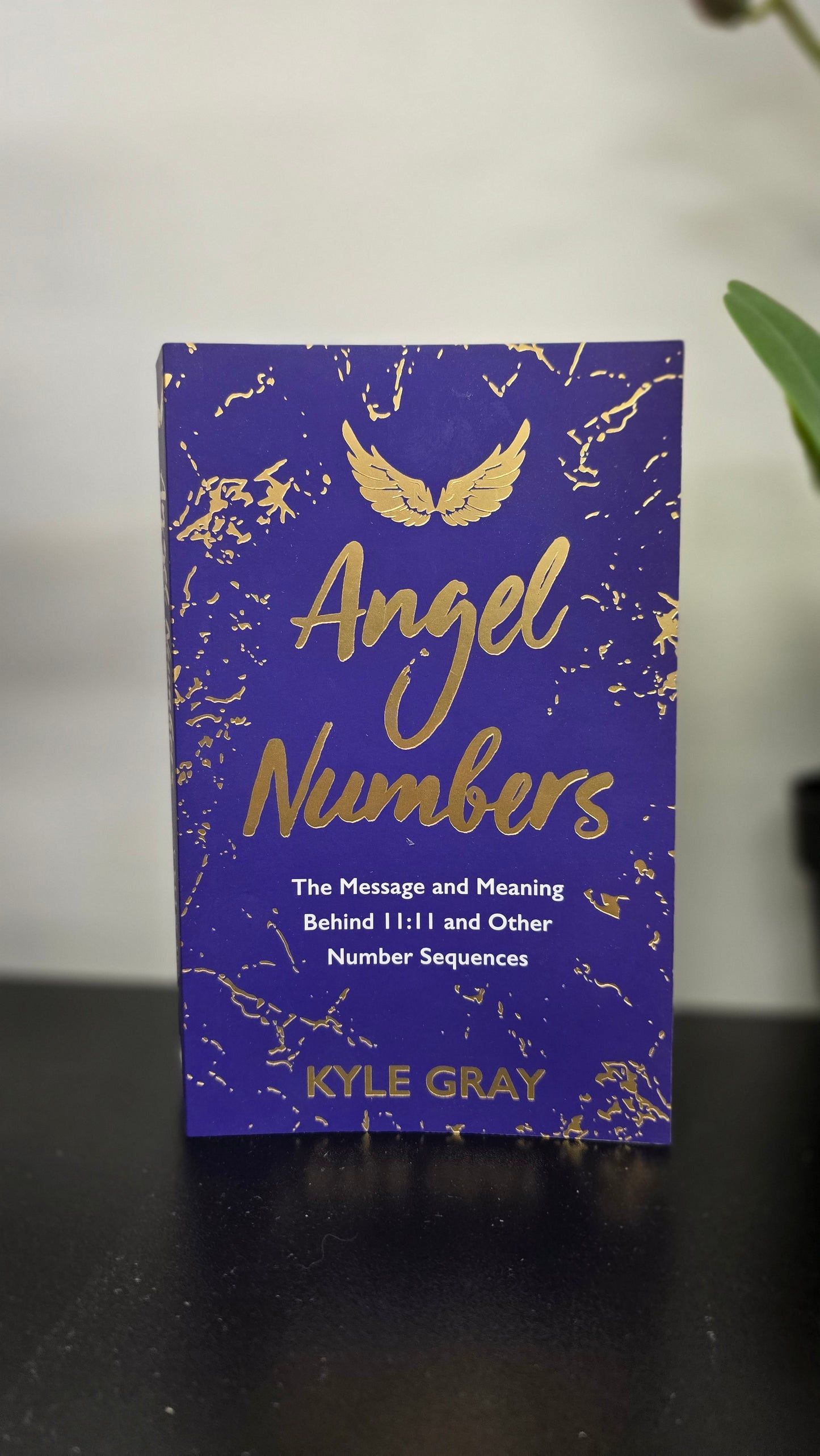 Angel Numbers by Kyle Gray