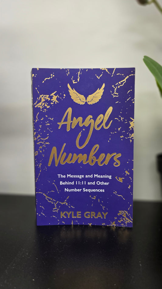 Angel Numbers by Kyle Gray