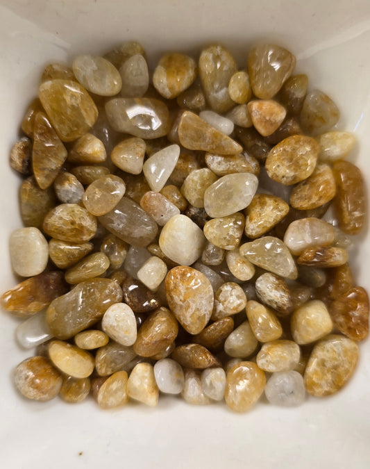 Golden Healer Chips