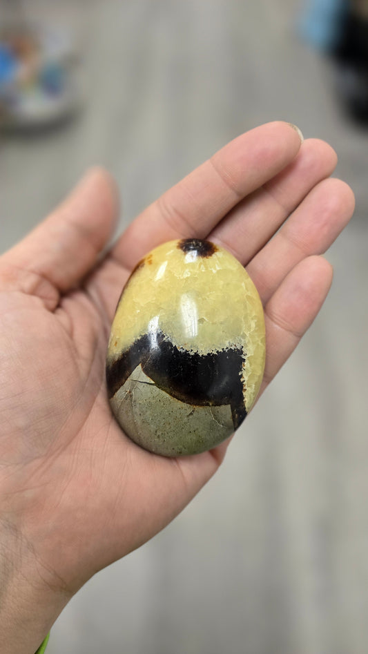 Septarian Palm Stone