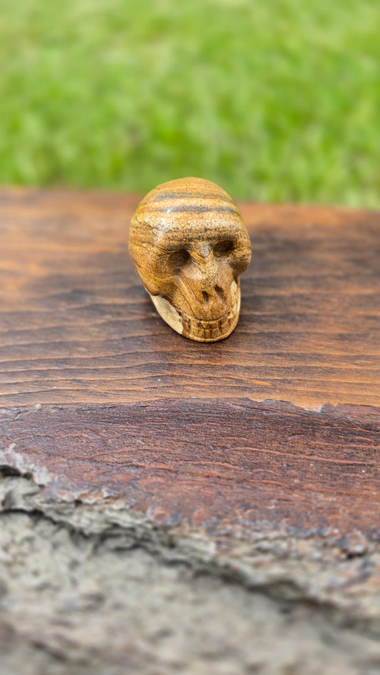 Picture Jasper Skull