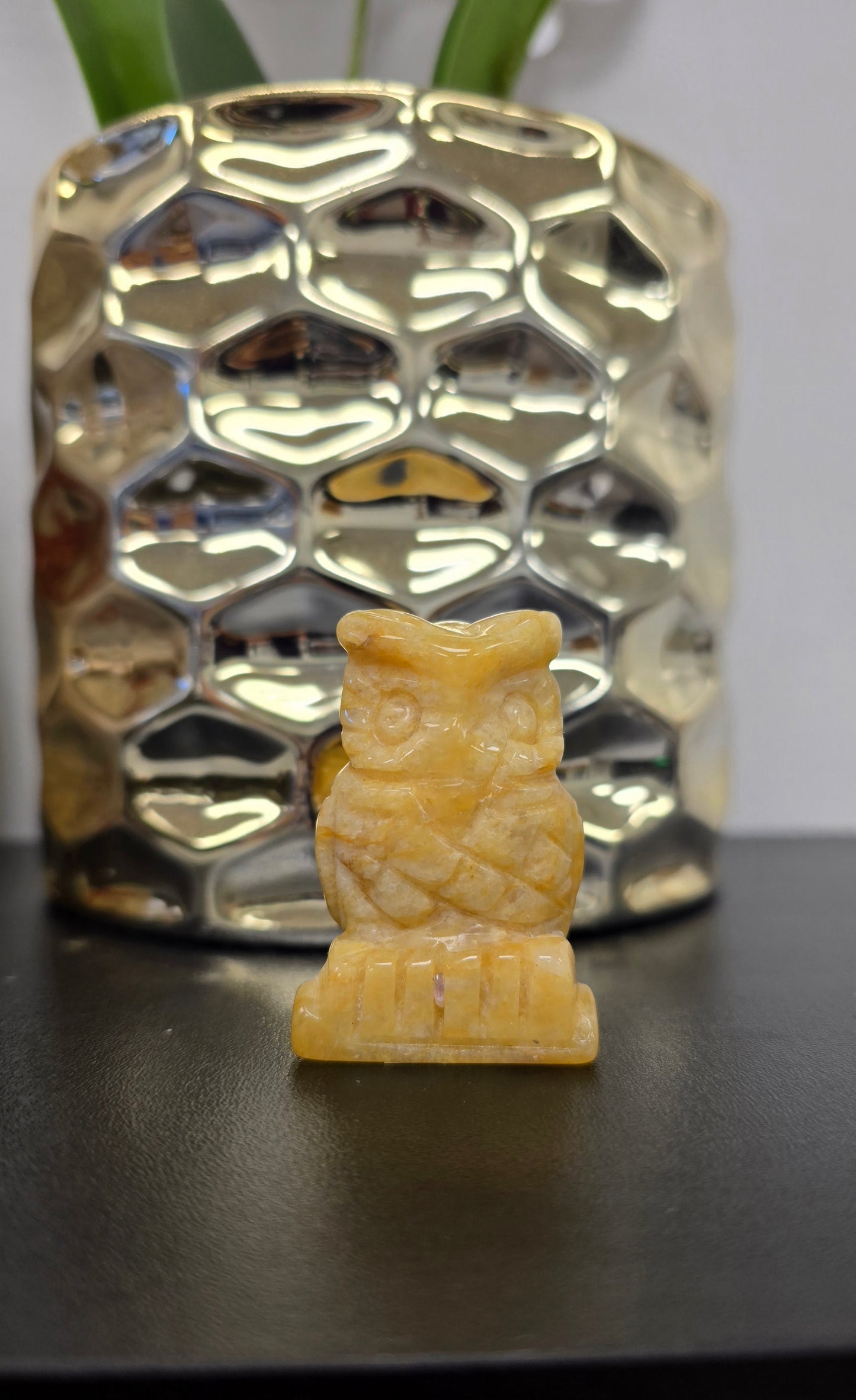 Golden Healer Owl-2"