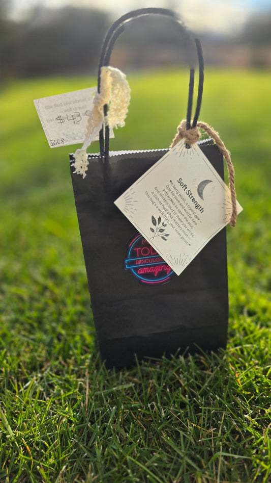 Intuitive Gifts Co.- Soft Strength Surprise Bag.