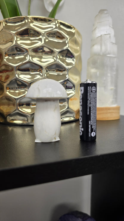 Snow Agate Mushroom